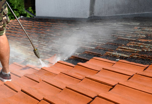 Pressure Washing Contractors in Coalfield, TN