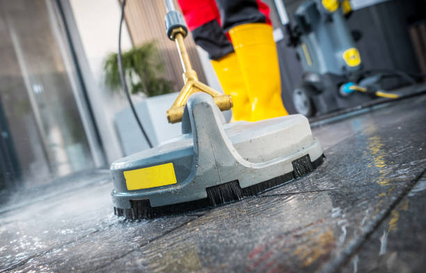 Best Local Pressure Washing Services  in Coalfield, TN