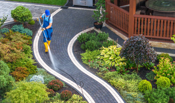 Best Local Pressure Washing Services  in Coalfield, TN